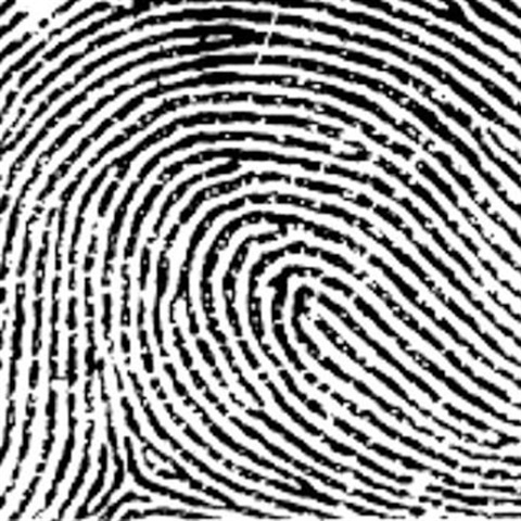 Fingerprint.jpg